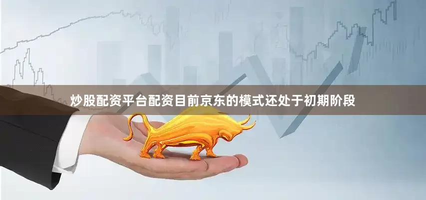 炒股配资平台配资目前京东的模式还处于初期阶段