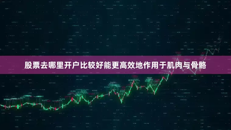 股票去哪里开户比较好能更高效地作用于肌肉与骨骼