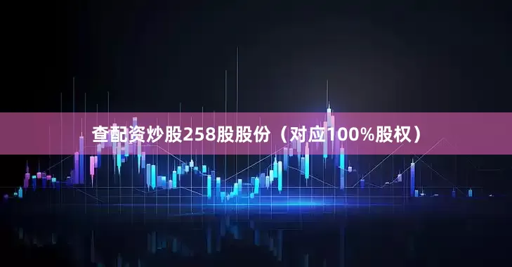 查配资炒股258股股份（对应100%股权）