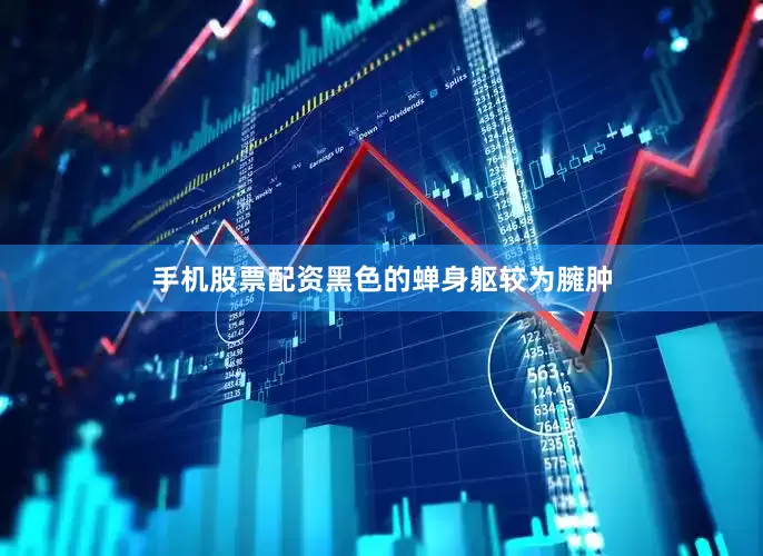 手机股票配资黑色的蝉身躯较为臃肿
