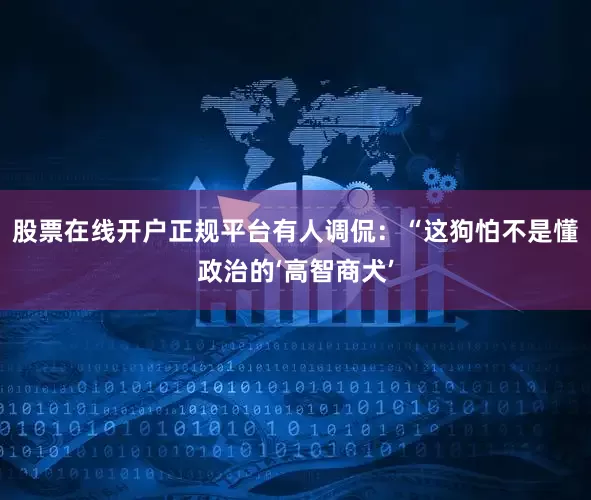 股票在线开户正规平台有人调侃：“这狗怕不是懂政治的‘高智商犬’